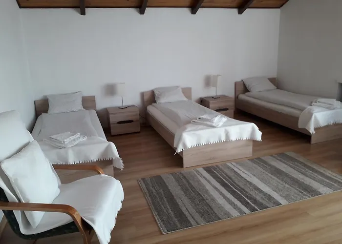 カントリーハウス Osa Modlin Airport